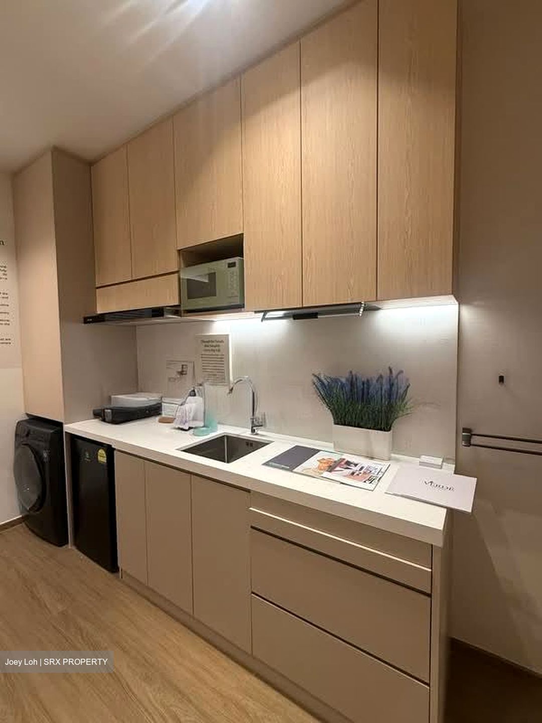 Joo Chiat Terrace (D15), Apartment #554566651